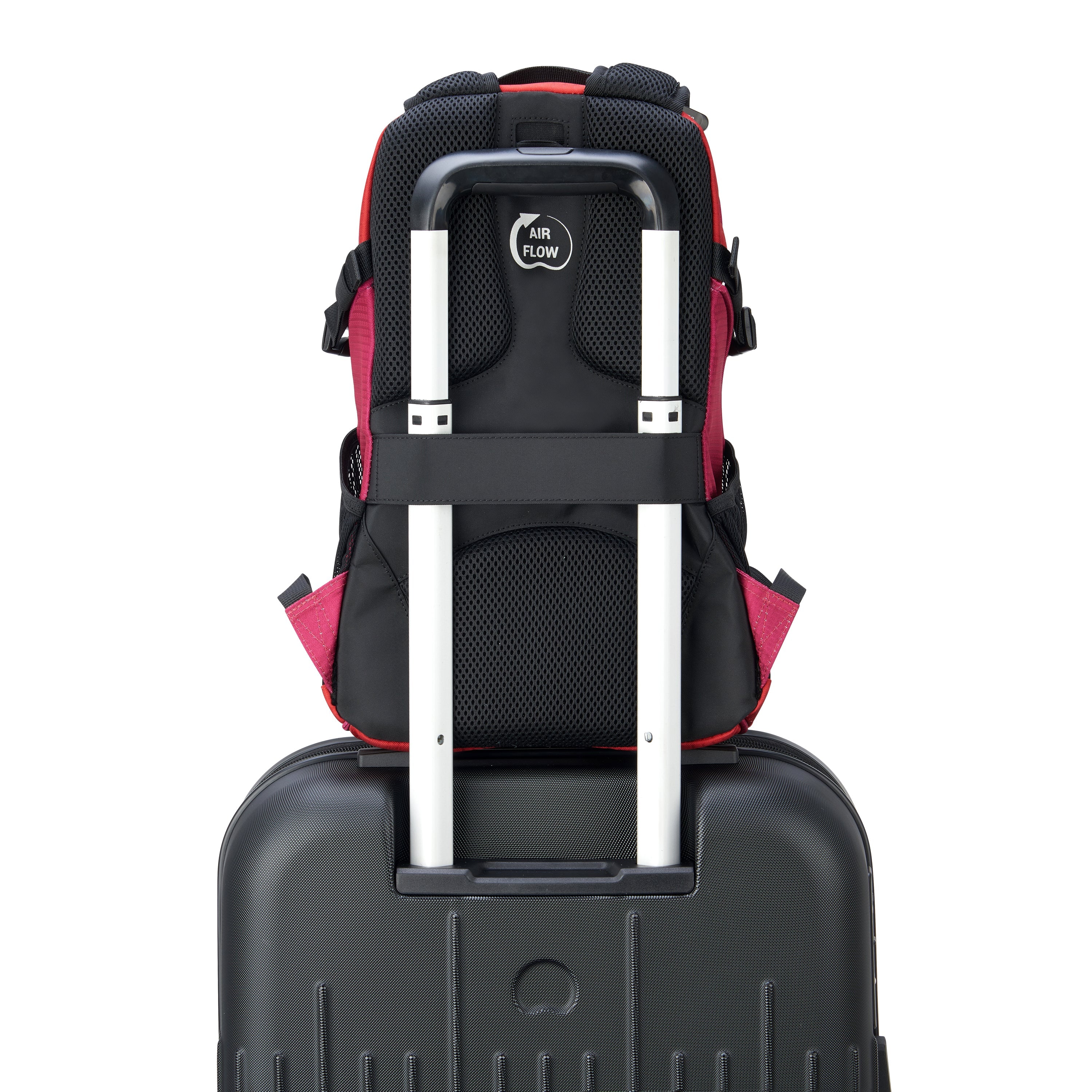 NOMADE| Rucksack 14.74L PFINGSTROSE