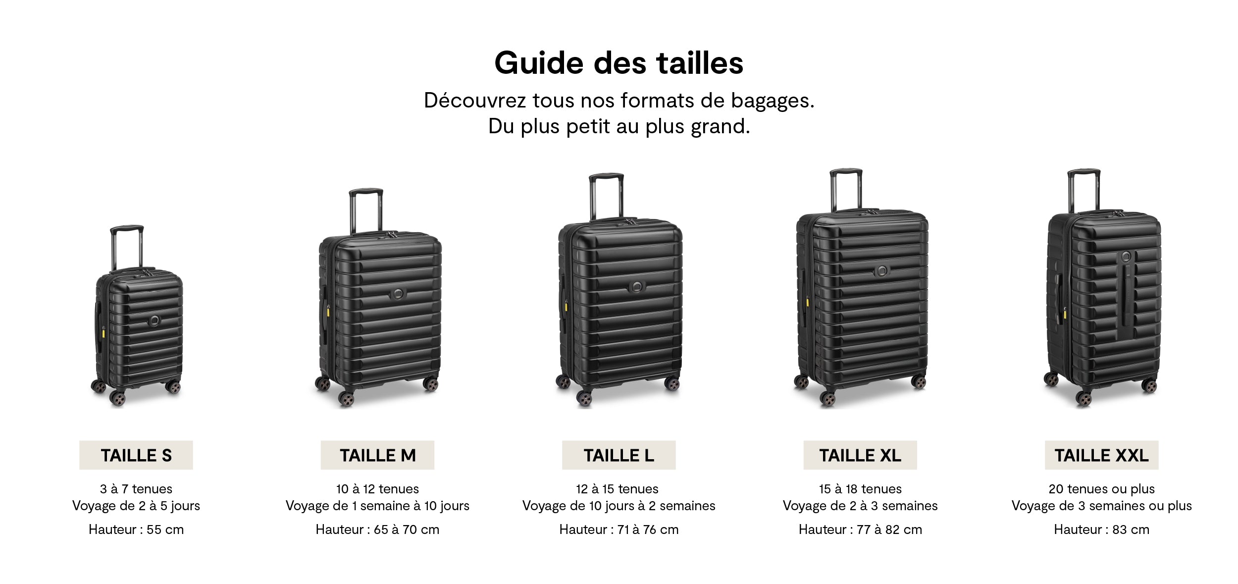 Guide des tailles