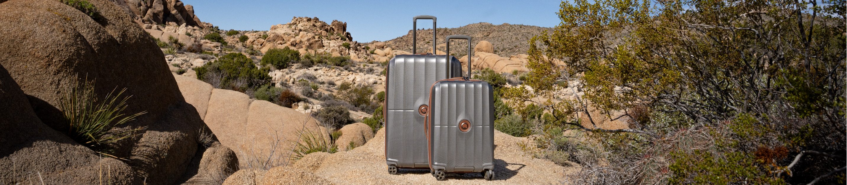 Luggages: Every Format, Every Journey